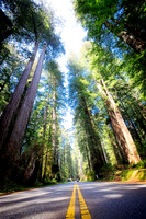 Other California