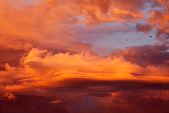 Sep302011_0116