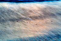 Feb152011_0266