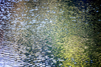 Feb062011_0026