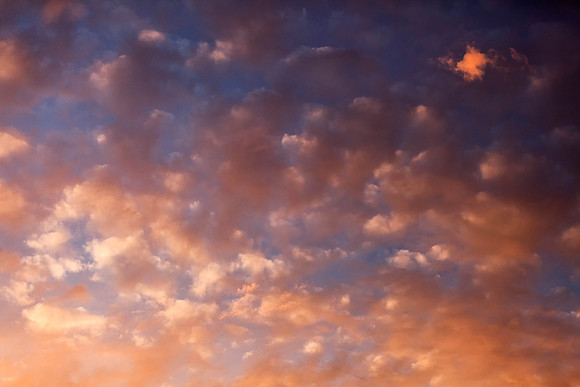 Sep302011_0112