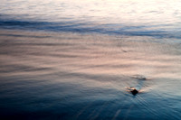 Feb152011_0390