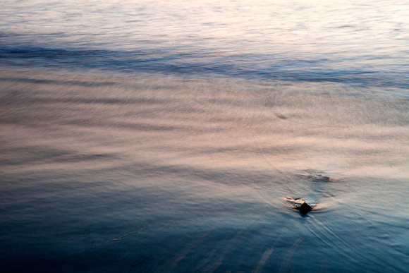 Feb152011_0390