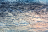 Feb152011_0285