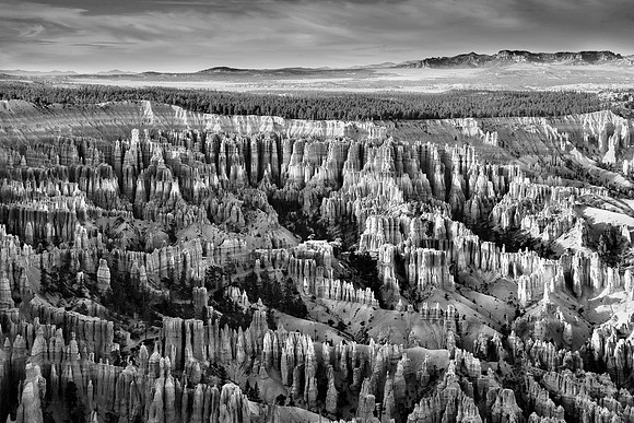 IMG_5096 B&W