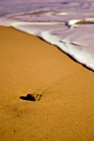 CRW_6963