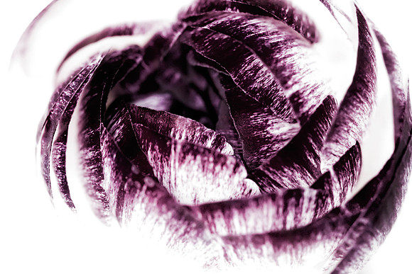 _H5R0162 2
