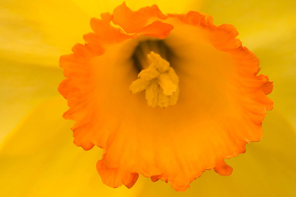 _H5R0099
