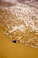 CRW_6975