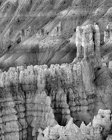 1815 B&W